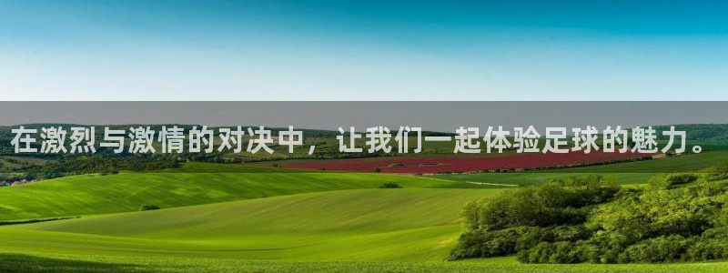 JJB竞技宝官网下载是干嘛的公司：在激烈与激情的对决