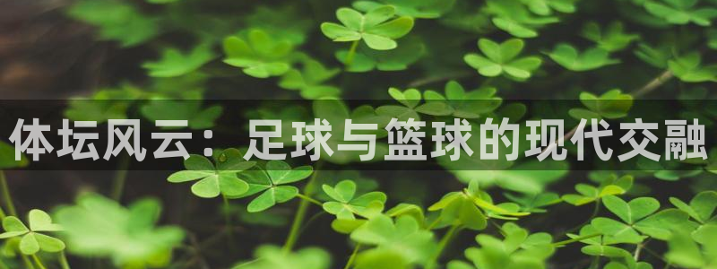 JJB竞技宝官网下载招商电话号码：体坛风云：足球与篮