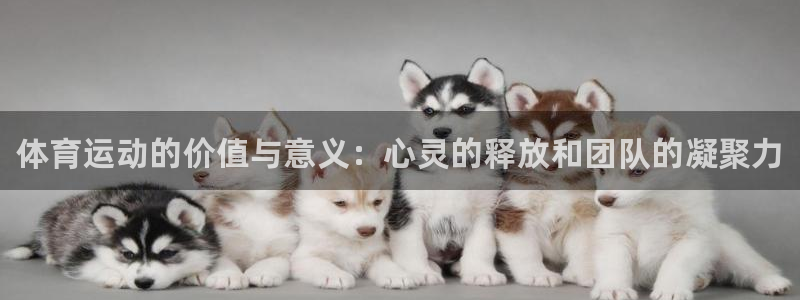 JJB竞技宝官方正版app集团官网首页：体育运动的价值与意义