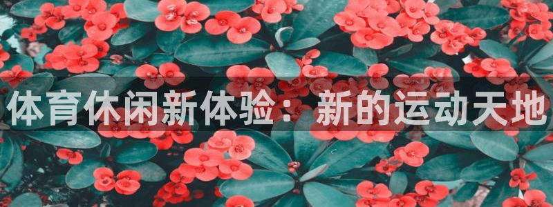 JJB竞技宝官网下载平台假的吗是真的吗吗：体育休闲新
