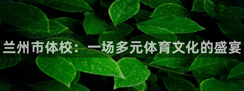 JJB竞技宝官网下载开户：兰州市体校：一场多元体育文