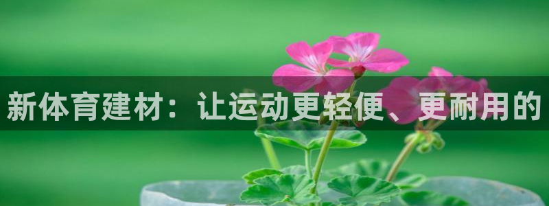 JJB竞技宝官网下载软件