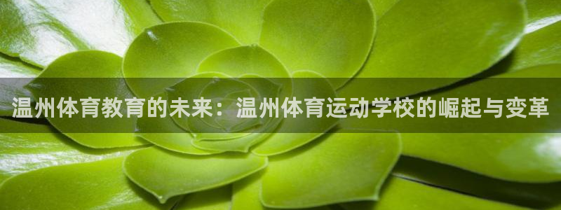 JJB竞技宝官方正版app娱乐代理怎么样：温州体育教育的未来