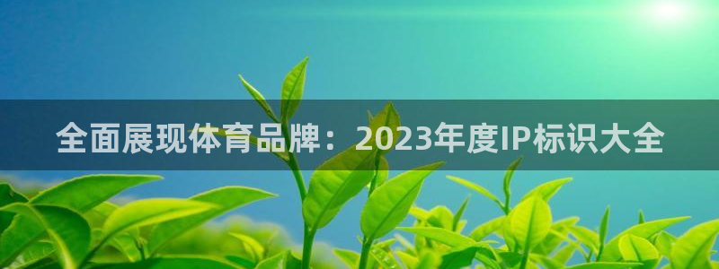 JJB竞技宝官网下载：全面展现体育品牌：2023年度IP标识