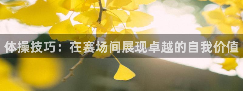 JJB竞技宝官方正版app娱乐首页官网下载：体操技巧：在赛场