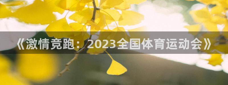 JJB竞技宝官网下载开户：《激情竞跑：2023全国体育运动会