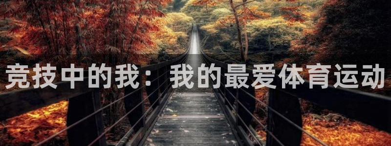 JJB竞技宝官网下载：竞技中的我：我的最爱体育运动